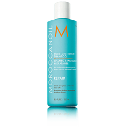 MOROCCANOIL Шампунь восстанавливающий увлажняющий 250 мл купить недорого в интернет магазине Beauty Prof с доставкой по Хабаровску и регионам России