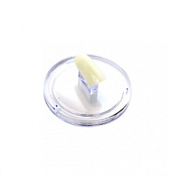 TNL Держатель для типс круглый прозрачный купить недорого в интернет магазине Beauty Prof с доставкой по Хабаровску и регионам России