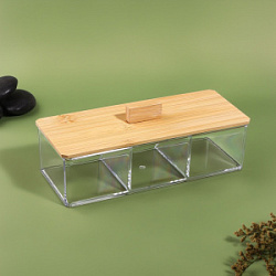 Органайзер для хранения Bamboo с крышкой 23.3*9.4*8.9 см прозрачный-коричневый купить недорого в интернет магазине Beauty Prof с доставкой по Хабаровску и регионам России