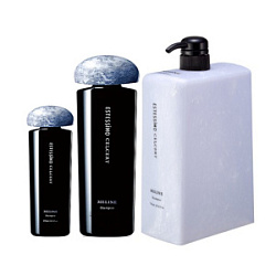 LEBEL Celcert  Шампунь увлажняющий  250 мл купить недорого в интернет магазине Beauty Prof с доставкой по Хабаровску и регионам России