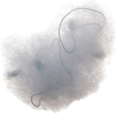 DEWAL Сеточка большая для головы серая (2 шт) купить недорого в интернет магазине Beauty Prof с доставкой по Хабаровску и регионам России